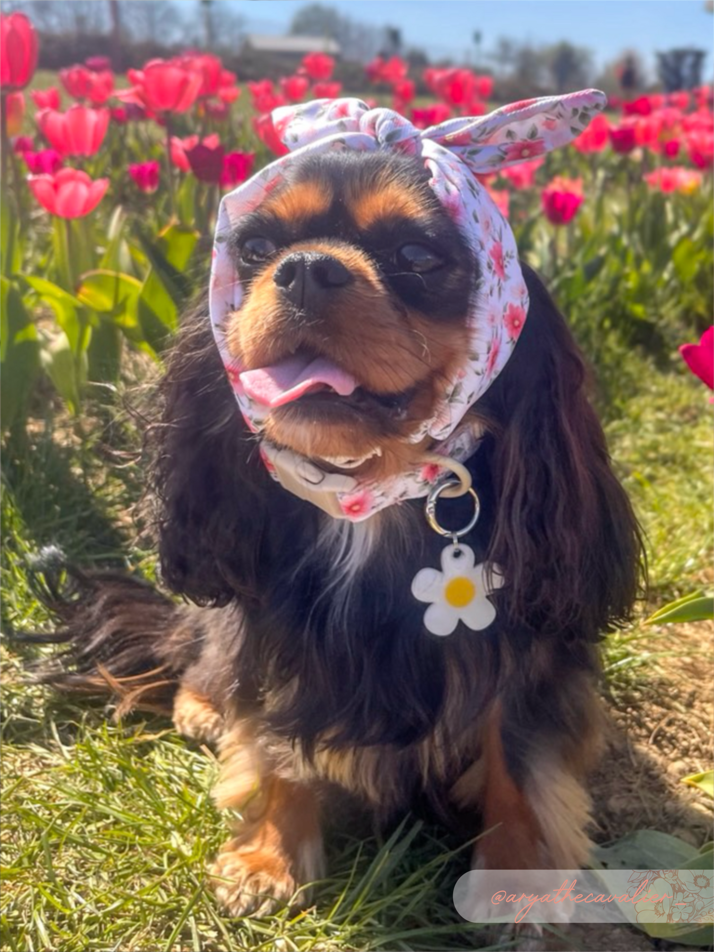 Spring Garden Headband