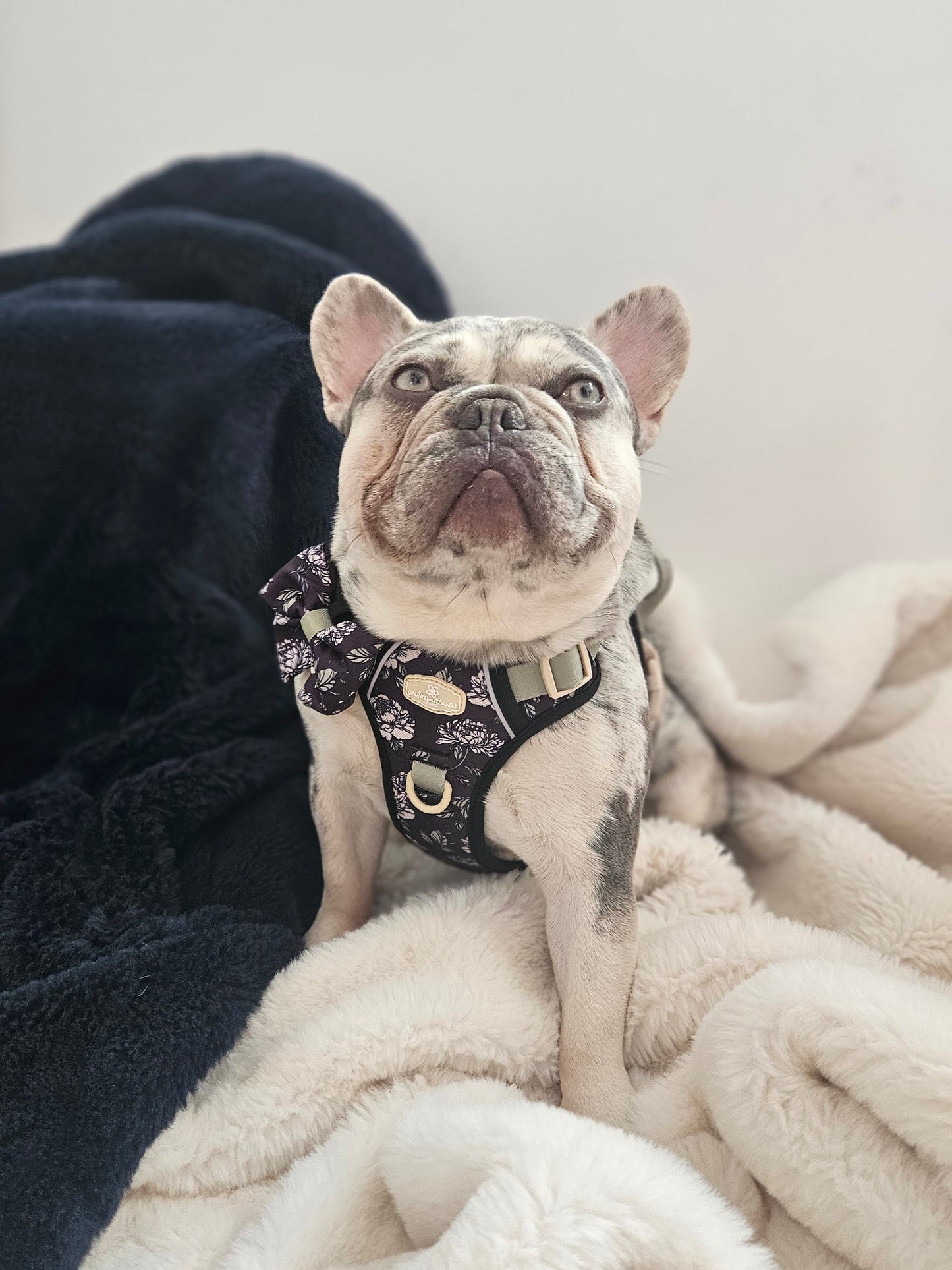 Midnight Bloom Sailor Bow