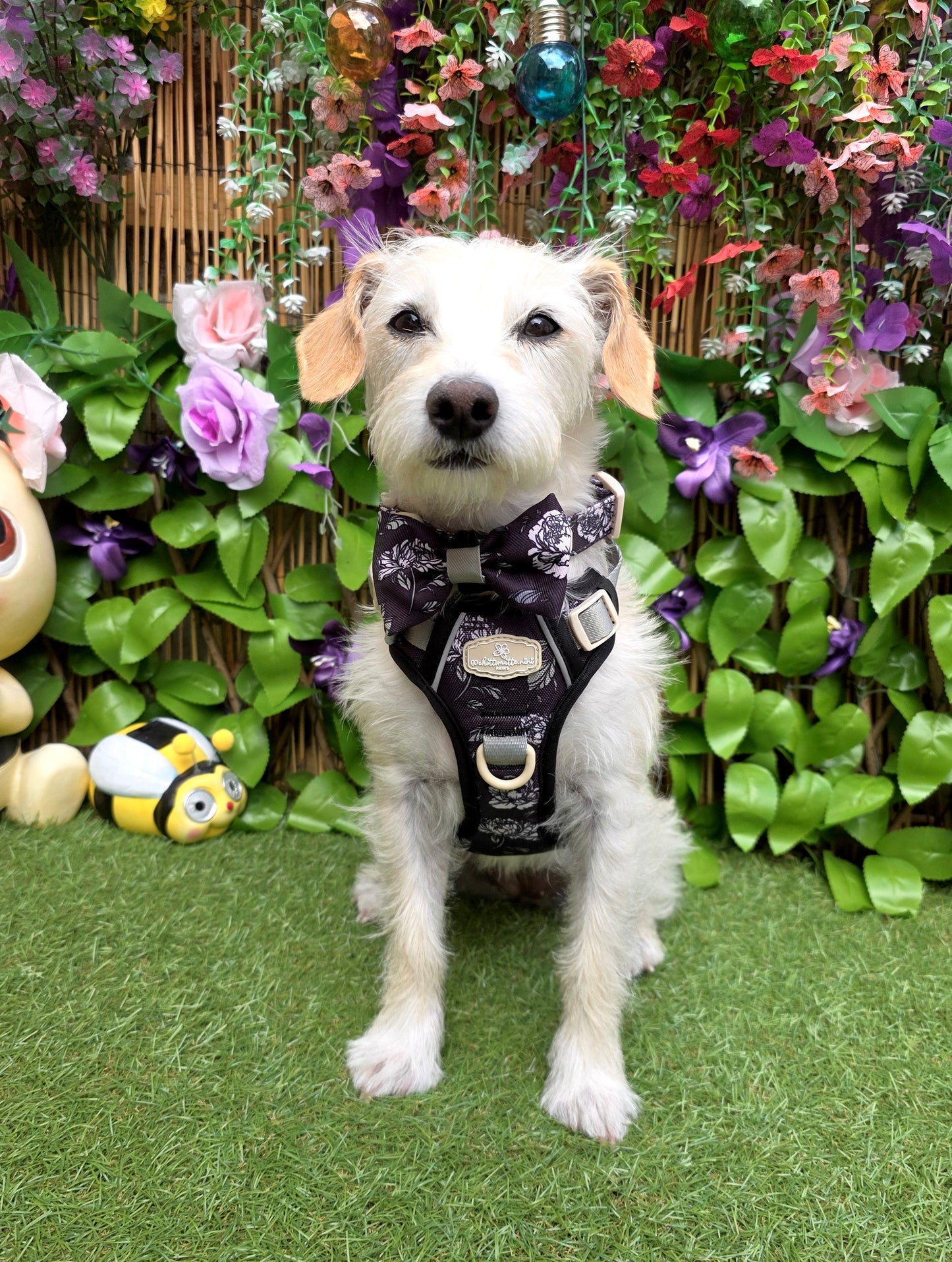 Midnight Bloom Bow Tie