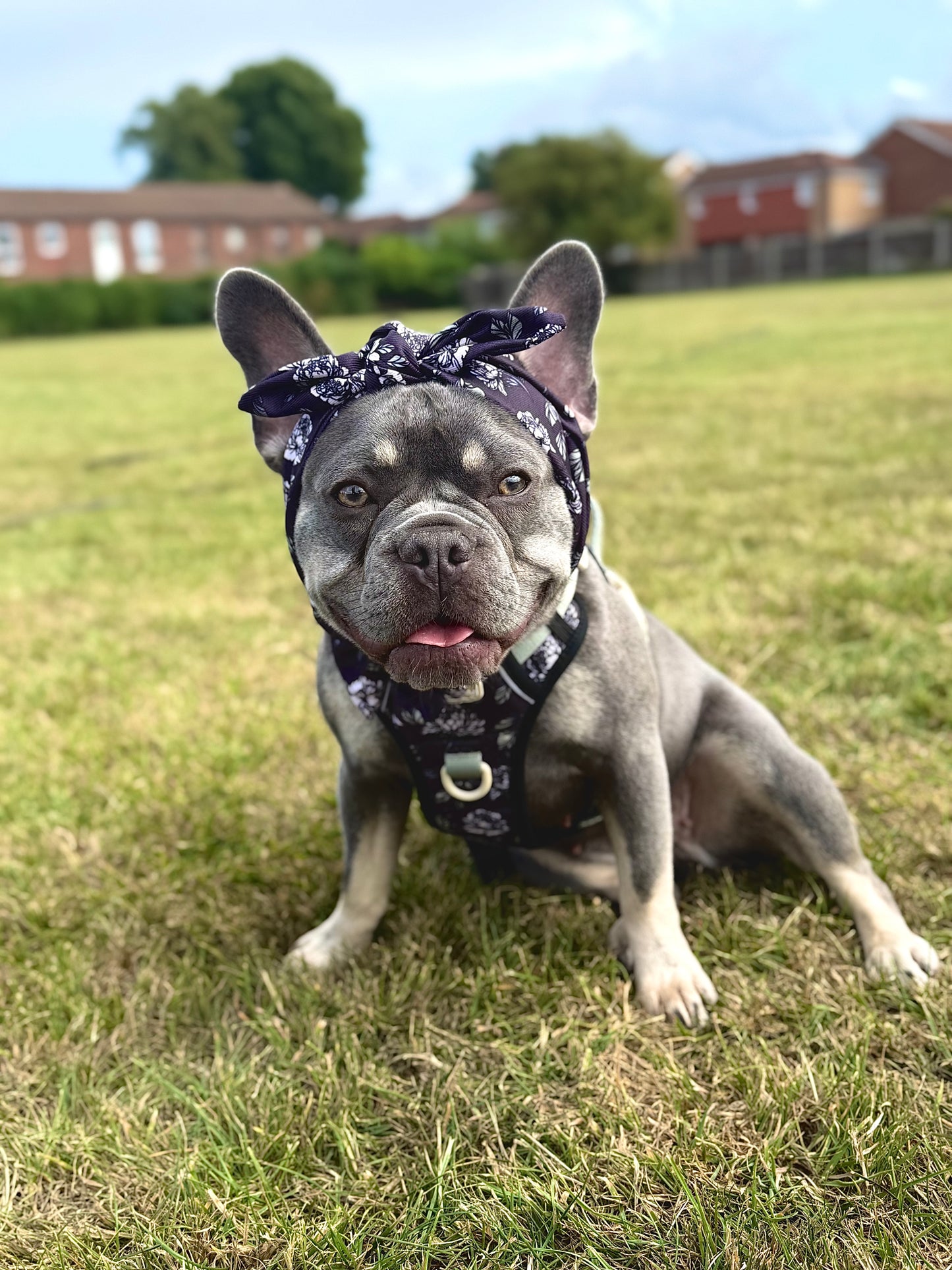 Midnight Bloom Headband