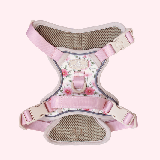 Spring Garden Bespoke Treks Harness