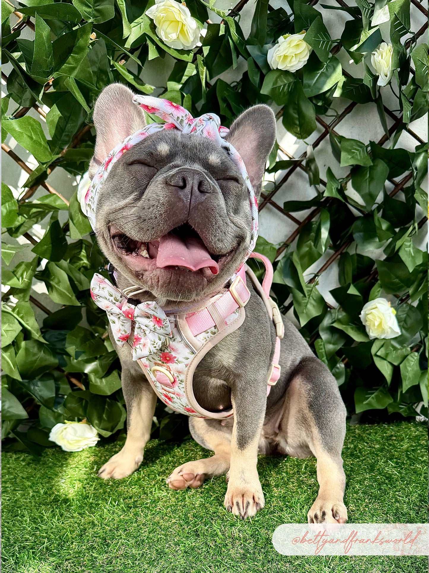 Spring Garden Headband