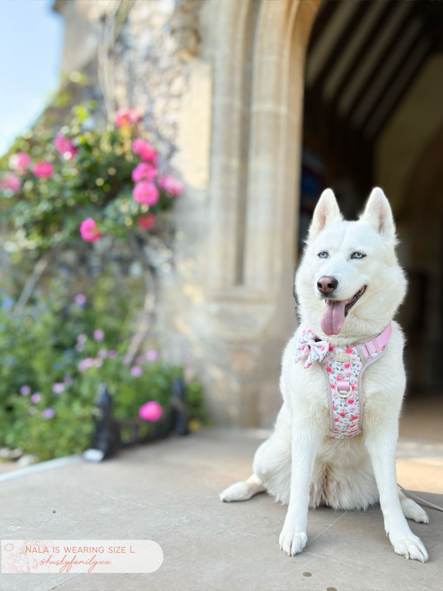 Spring Garden Bespoke Treks Harness - ADD YOUR DOG’S NAME ON THE HANDLE!