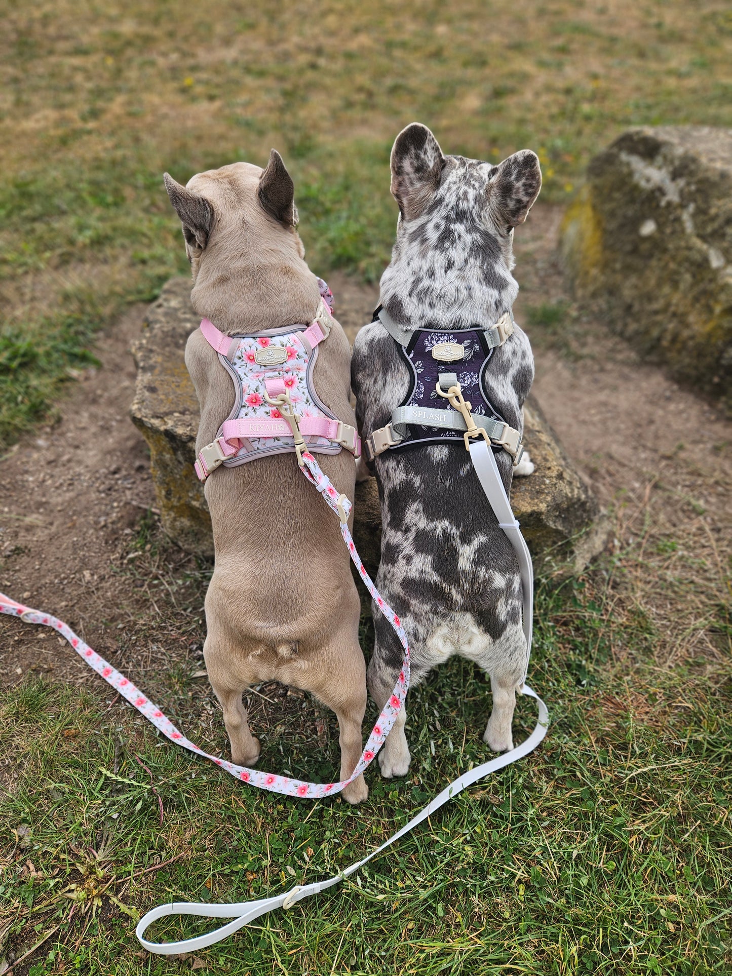 White Waterproof Light Adjustable Lead