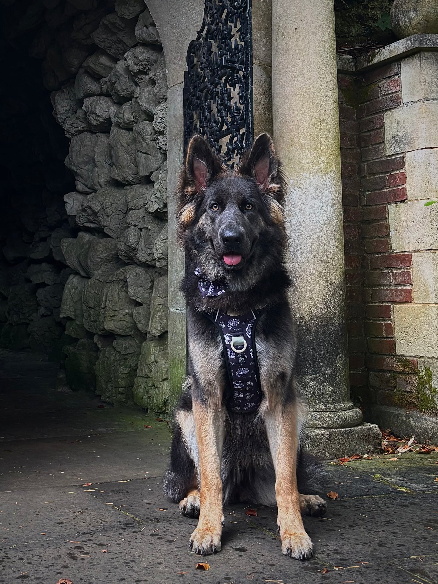 Midnight Bloom Collar