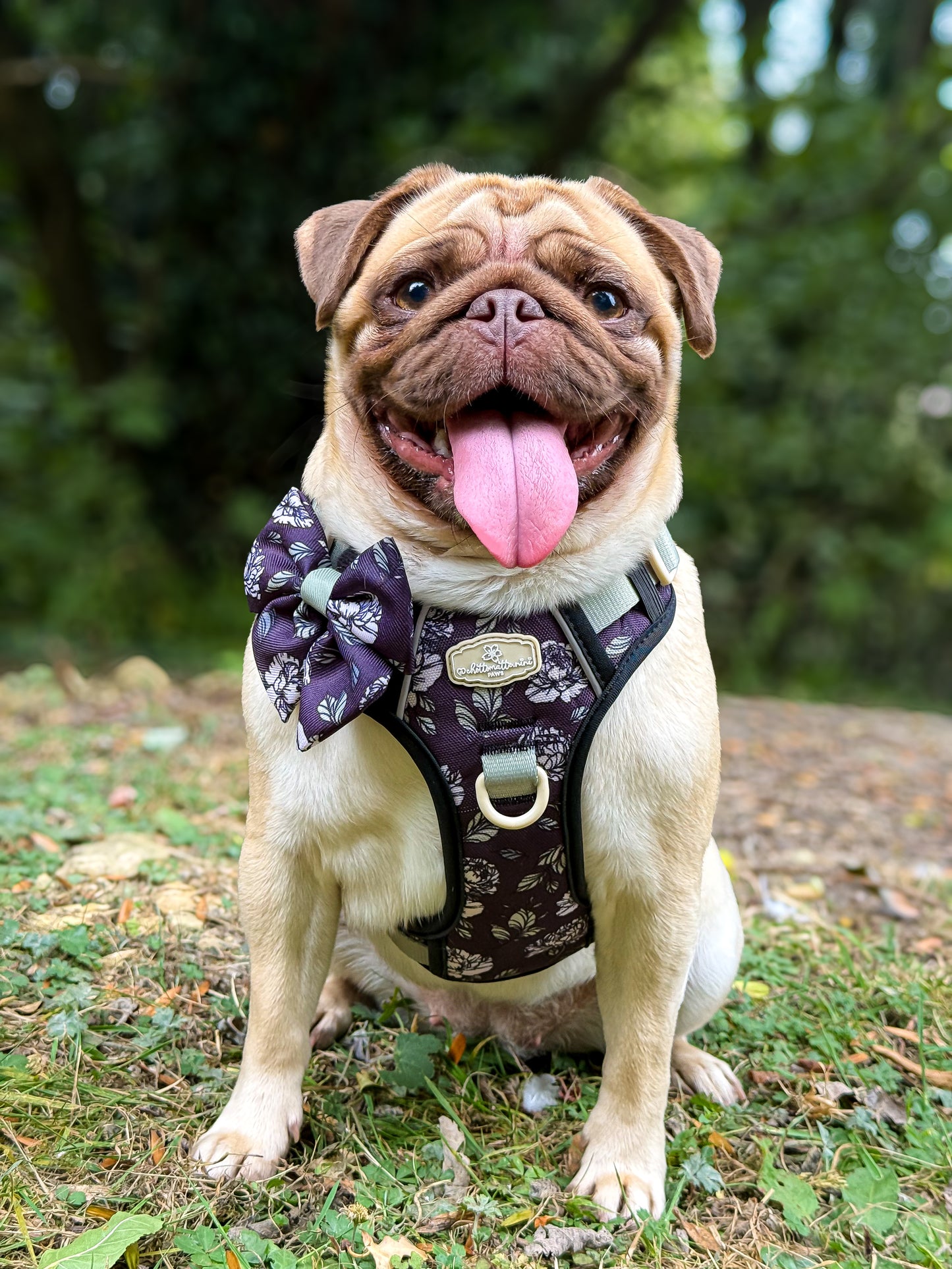 Midnight Bloom Sailor Bow