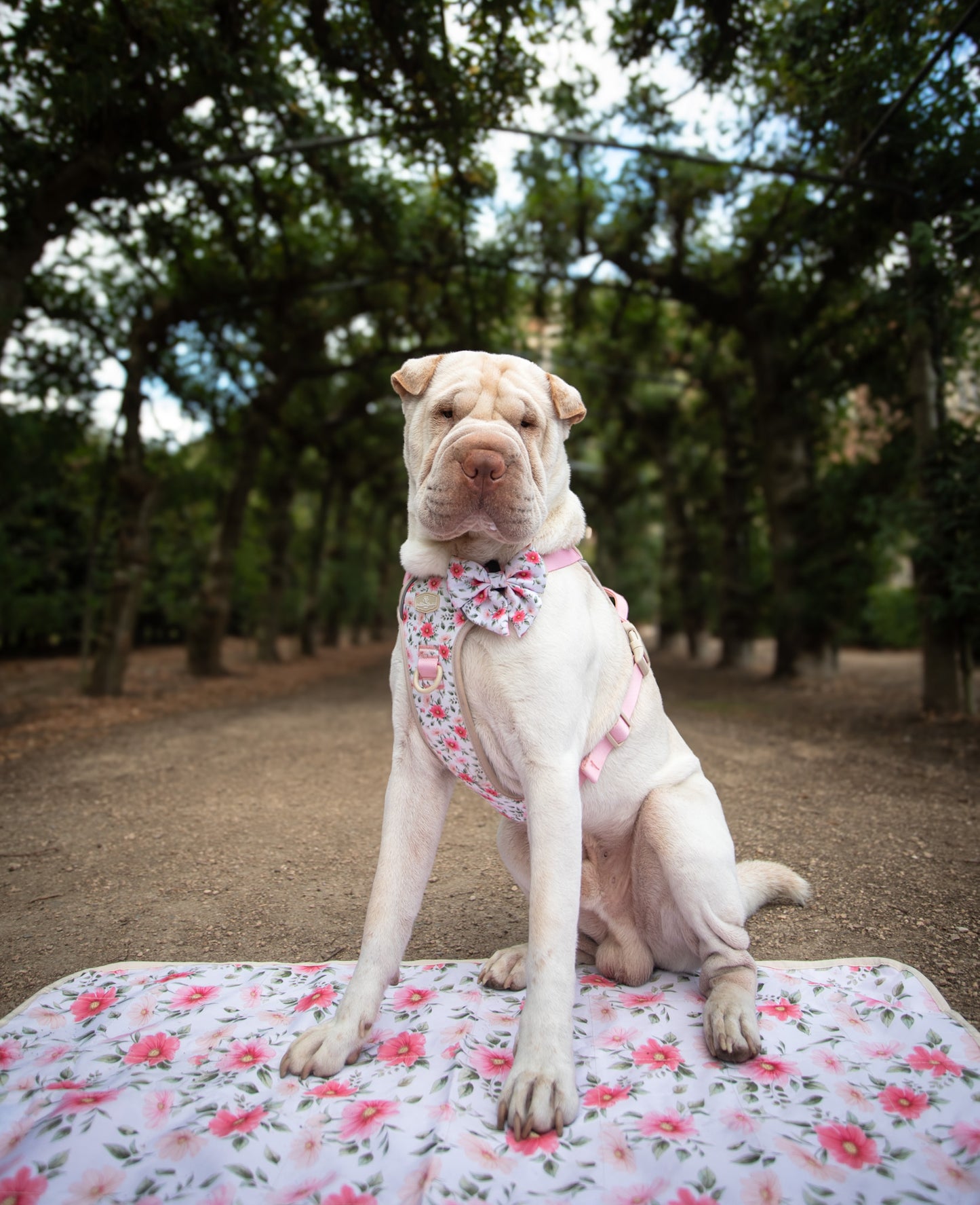 Spring Garden Light Settle Mat