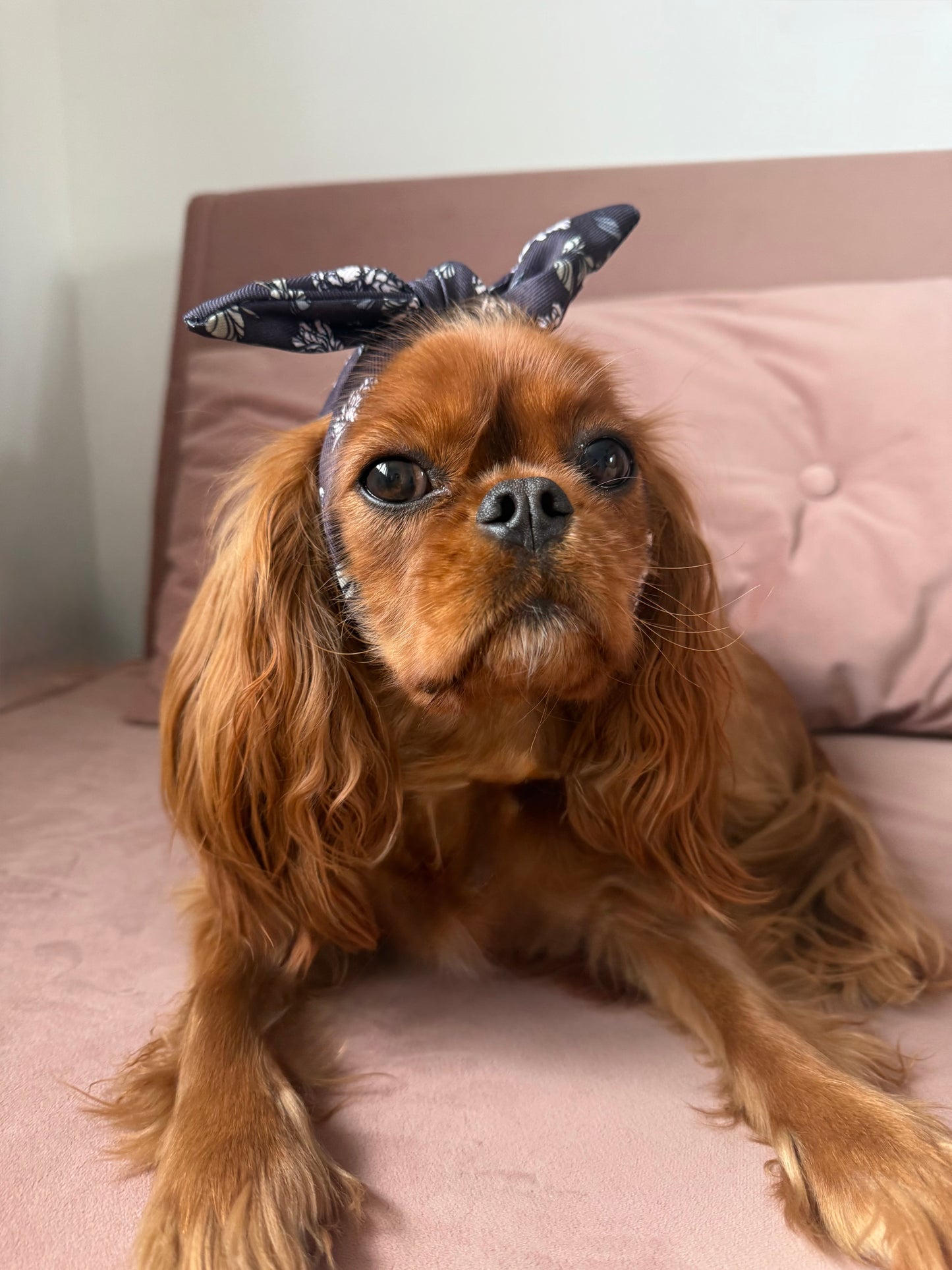 Midnight Bloom Headband