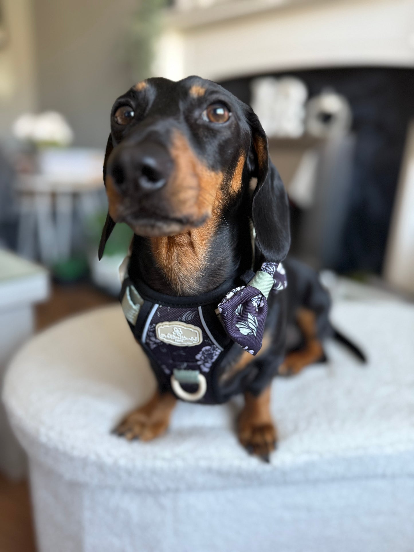 Midnight Bloom Bow Tie