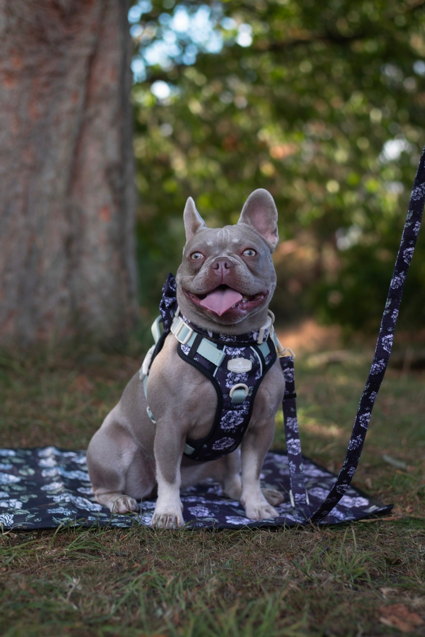 Midnight Bloom Adjustable Lead