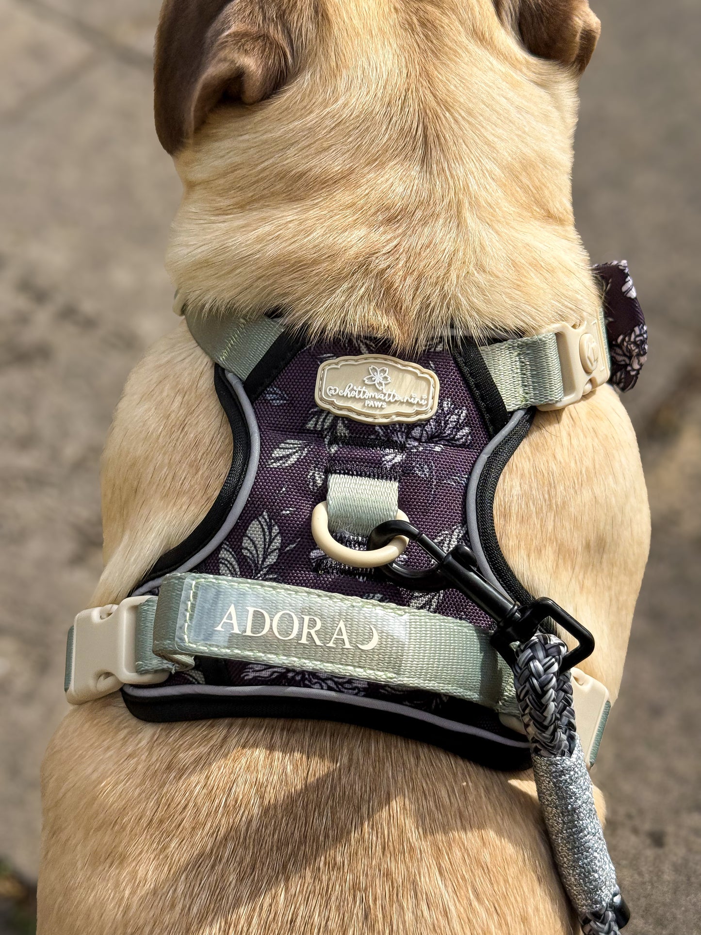 Midnight Bloom Bespoke Treks Harness