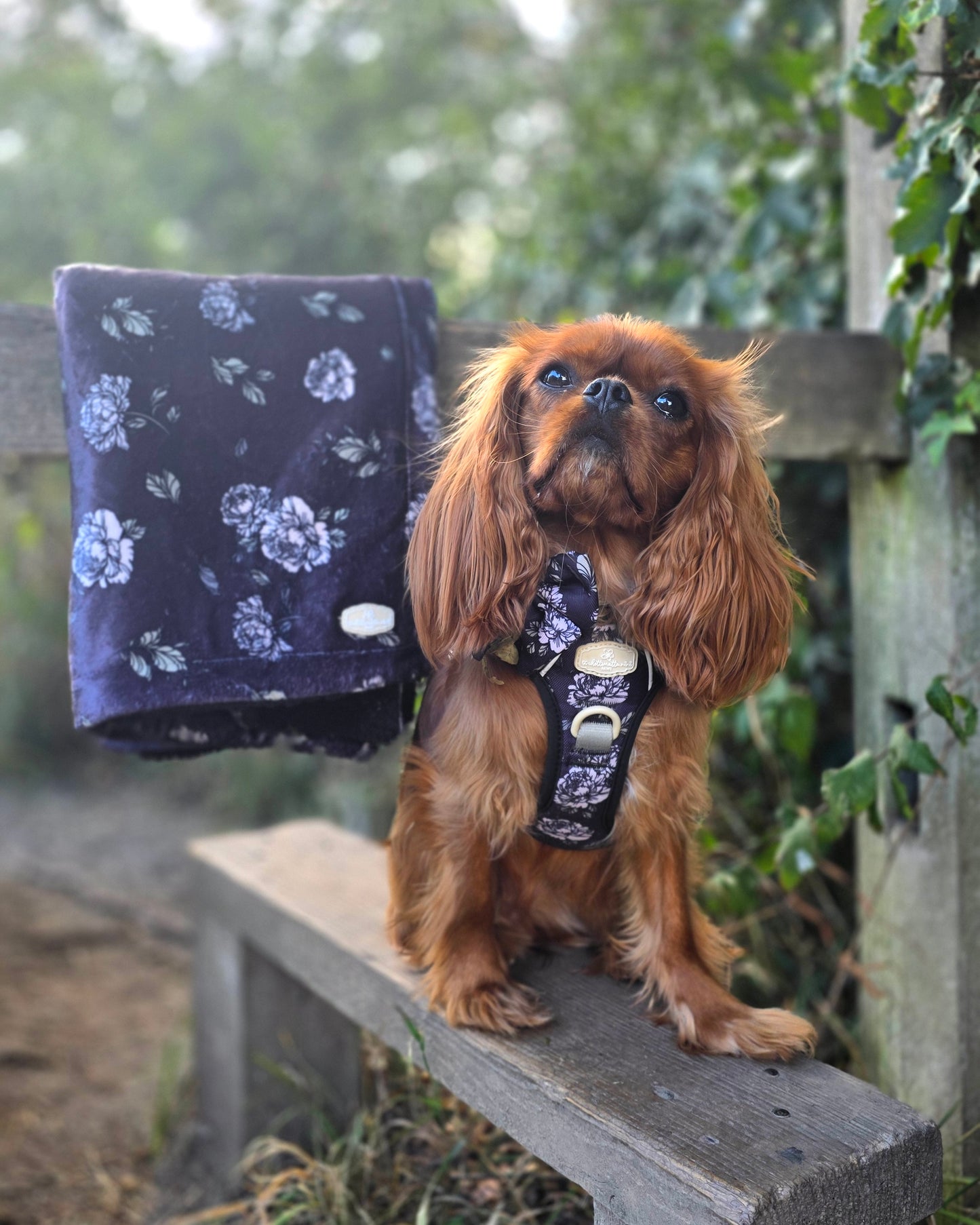 Midnight Bloom Dog Blanket