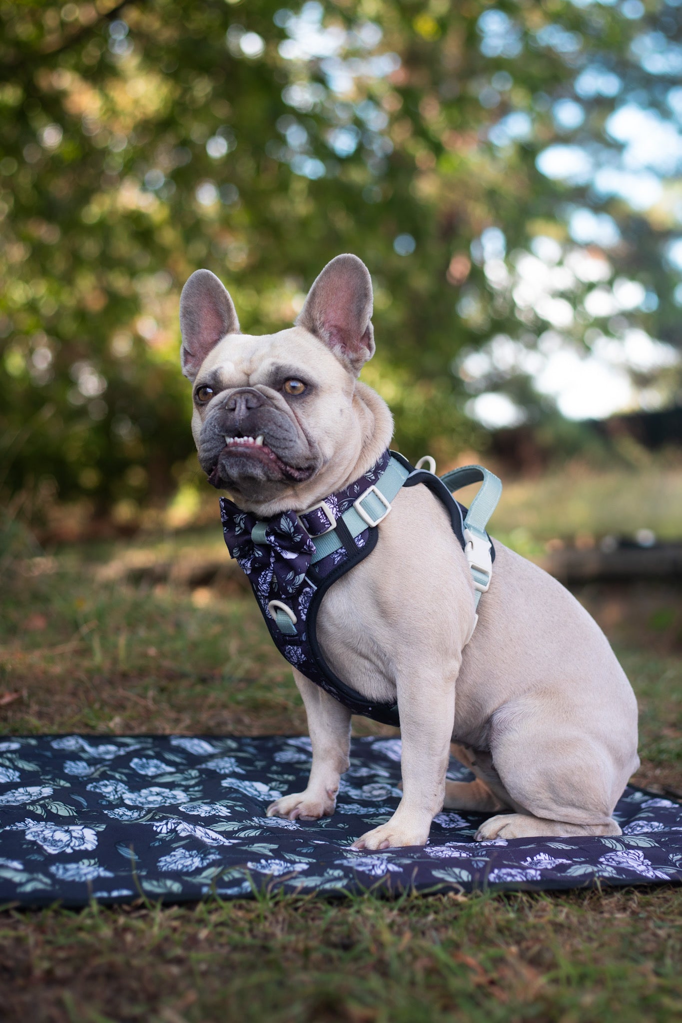 Midnight Bloom Light Settle Mat