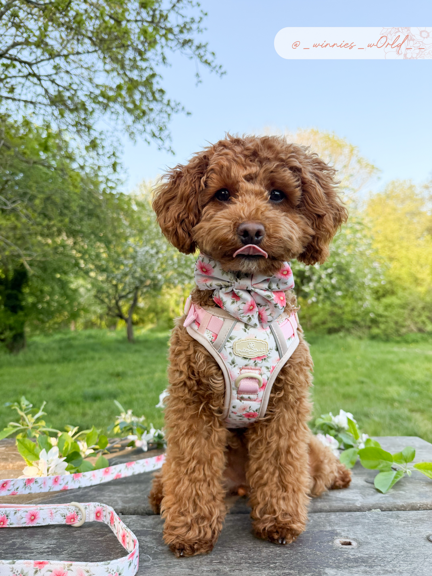 Spring Garden Sailor Bow