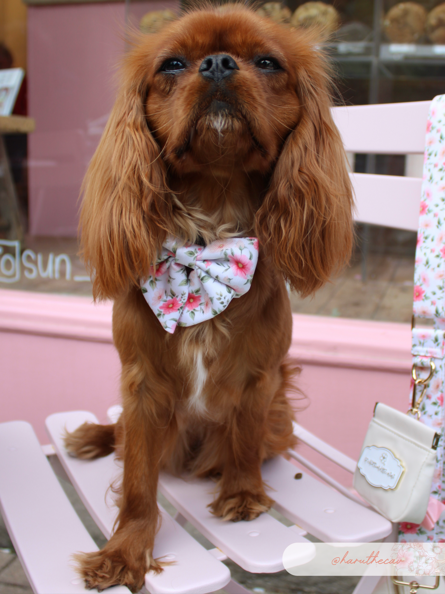 Spring Garden Sailor Bow