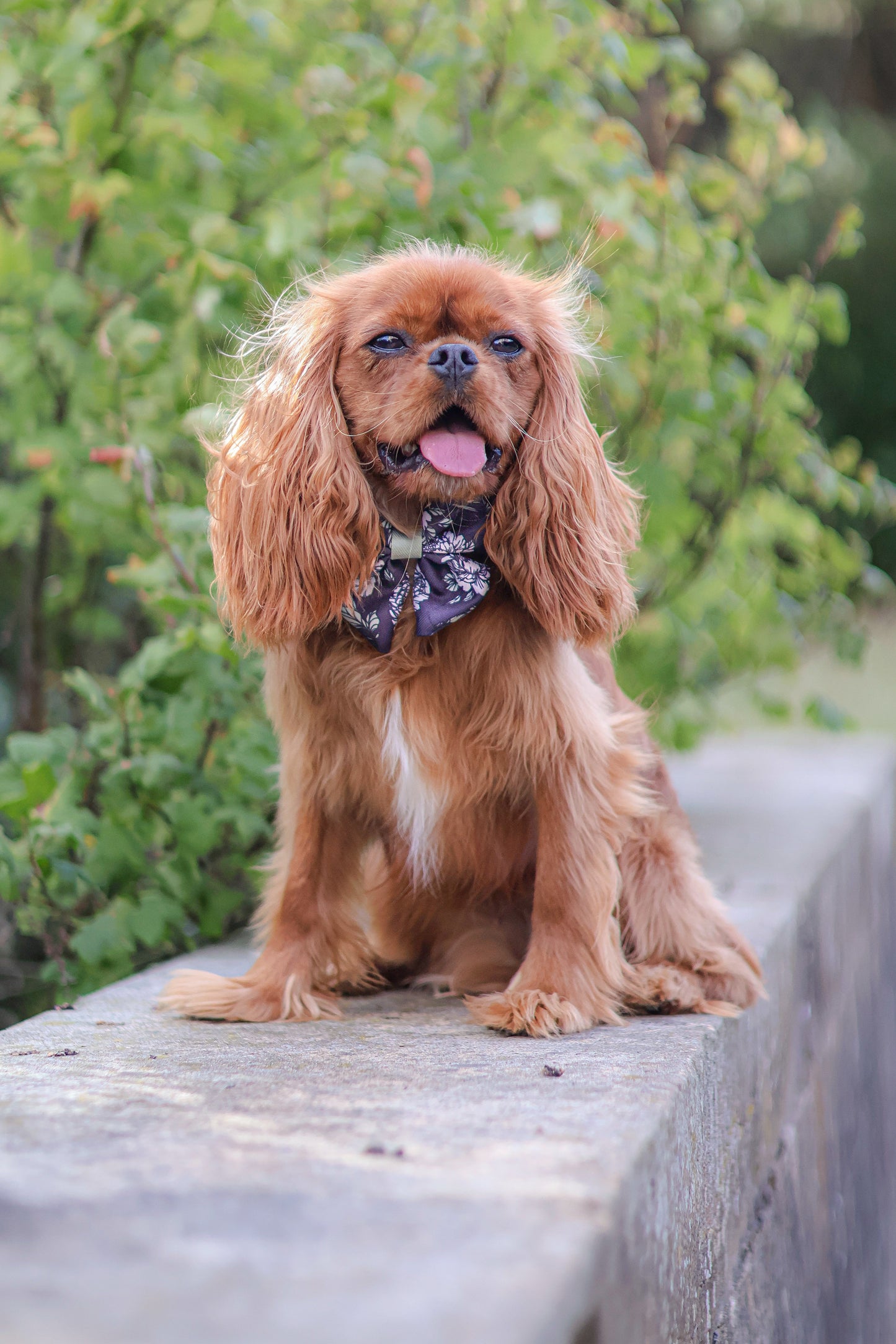 Midnight Bloom Sailor Bow