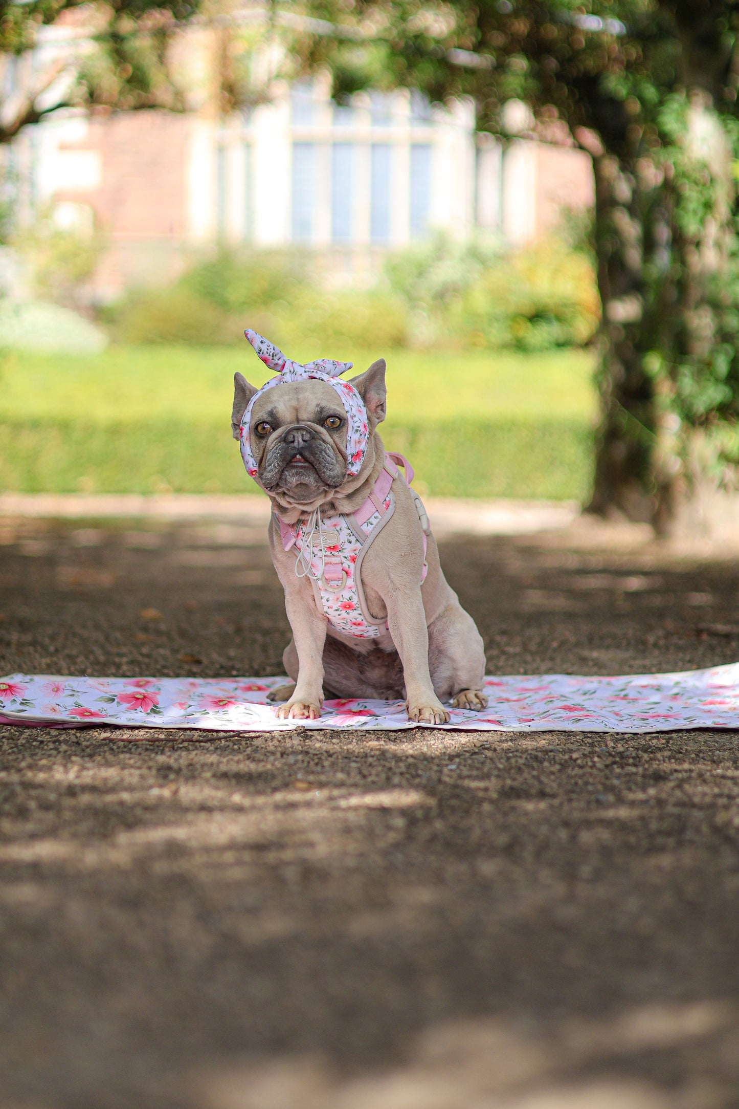 Spring Garden Light Settle Mat